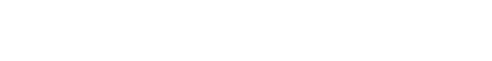Z-Star XV logo