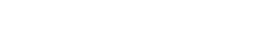 Z-Star logo