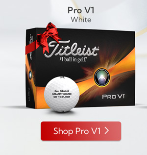 Pro V1 - Single Dozen - White