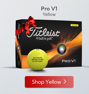 Pro V1 - Single Dozen - Yellow