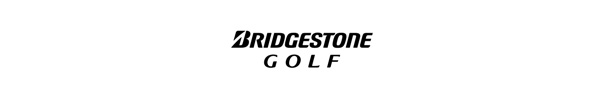 4 Bridgestone Available Vis Tech Models